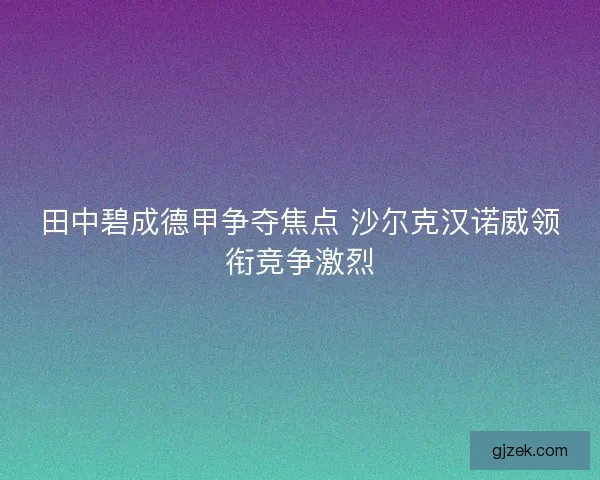 田中碧成德甲争夺焦点 沙尔克汉诺威领衔竞争激烈