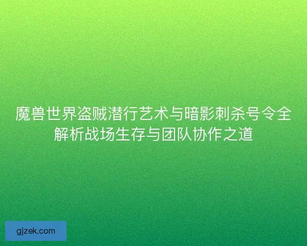 魔兽世界盗贼潜行艺术与暗影刺杀号令全解析战场生存与团队协作之道
